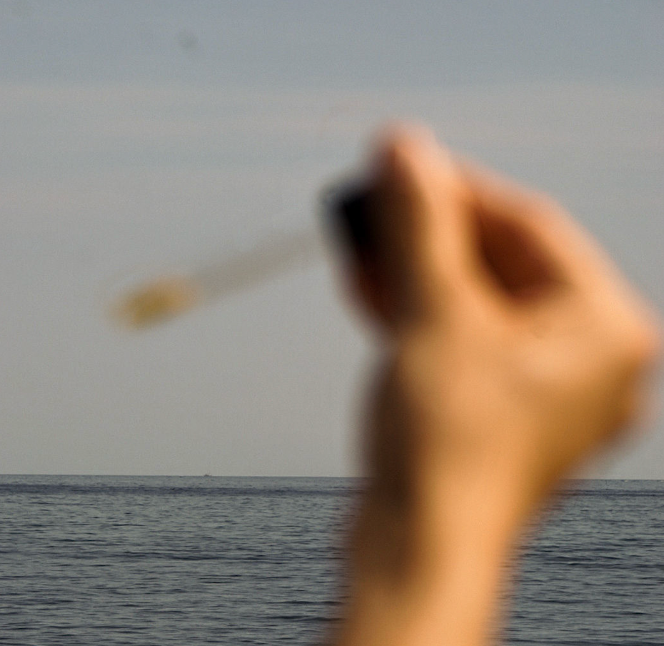 Hair Oil 101: What It Is, How to Use It, and Why Our Blend Works Magic